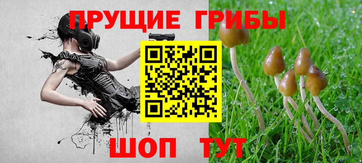 Галлюциногенные грибы прущие грибы  Вход с VPN  Чехов 